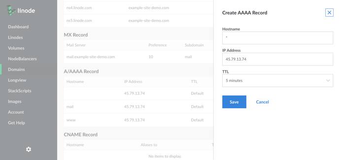 Create a new A record, following the instructions in the &ldquo;Adding&rdquo; section. Add a single asterisk (\*) in the &ldquo;Hostname&rdquo; field. Set your IP address in the &ldquo;IP Address&rdquo; field. Then click the &ldquo;Save Changes&rdquo; button.